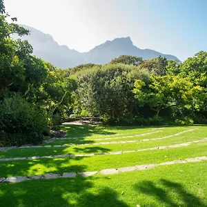 Vineyard Cape Town